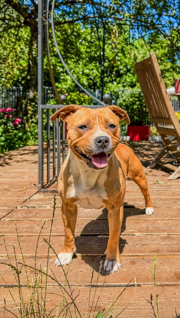 Uncoming hurricane Des Disciples De Goliath